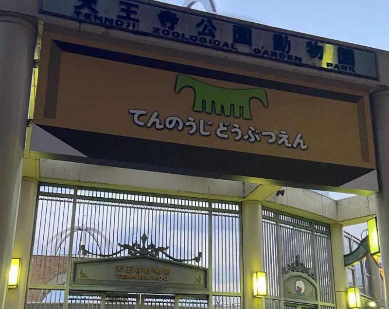 Một con hổ hoặc sư tử đang nằm nghỉ ngơi trong khu vực chuồng nuôi được thiết kế mô phỏng môi trường tự nhiên tại Vườn Bách Thú Hà Nội, thể hiện vẻ uy dũng của loài động vật hoang dã này.